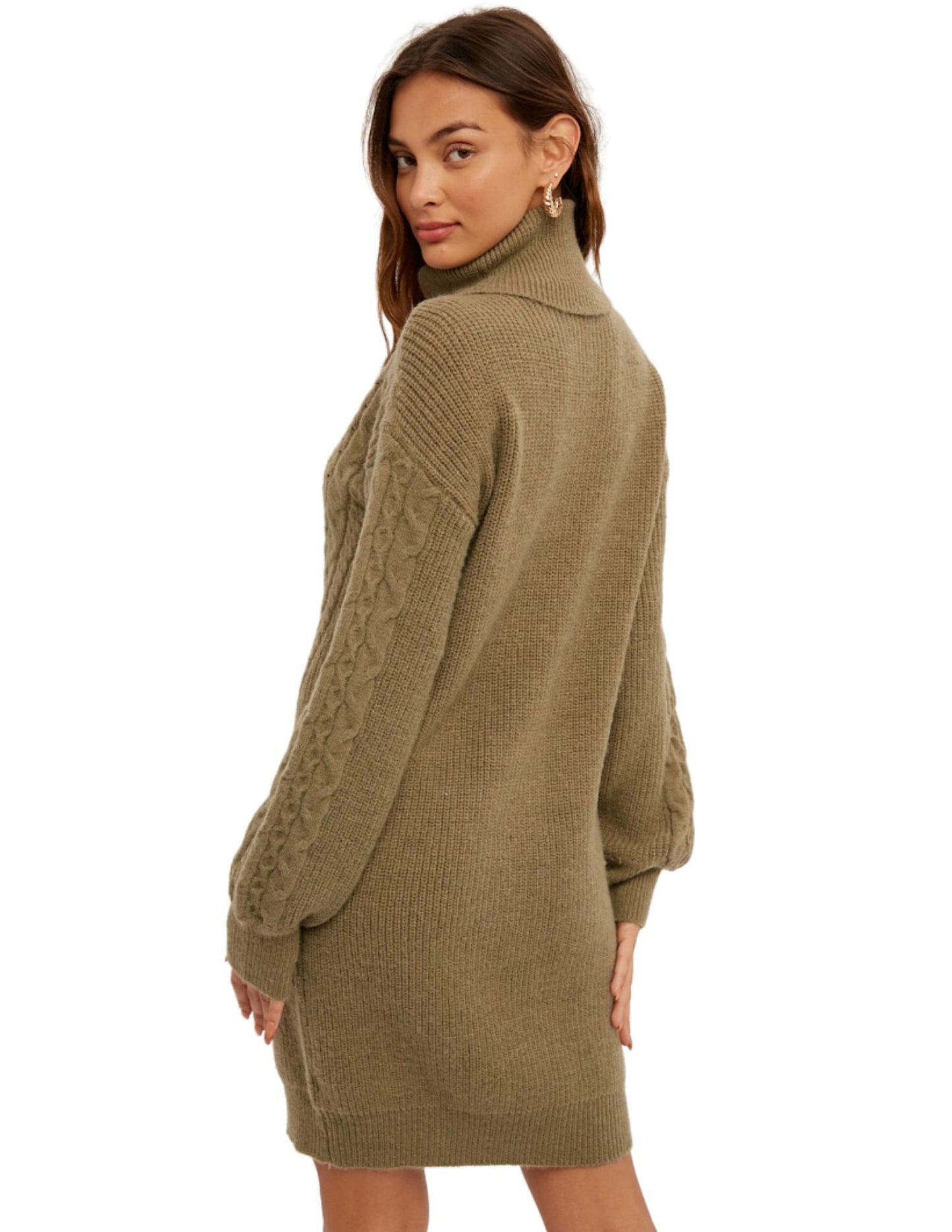 Tatiana Turtleneck Sweater Dress