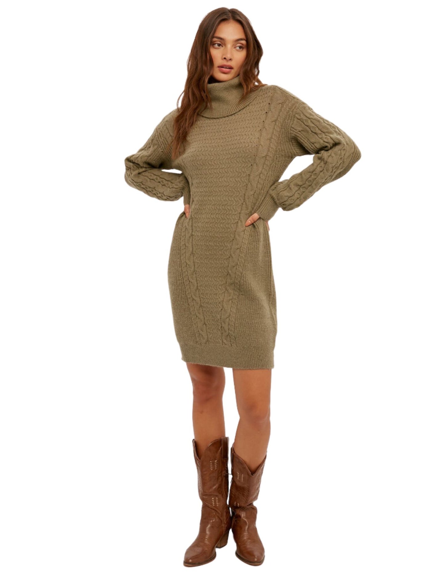 Tatiana Turtleneck Sweater Dress