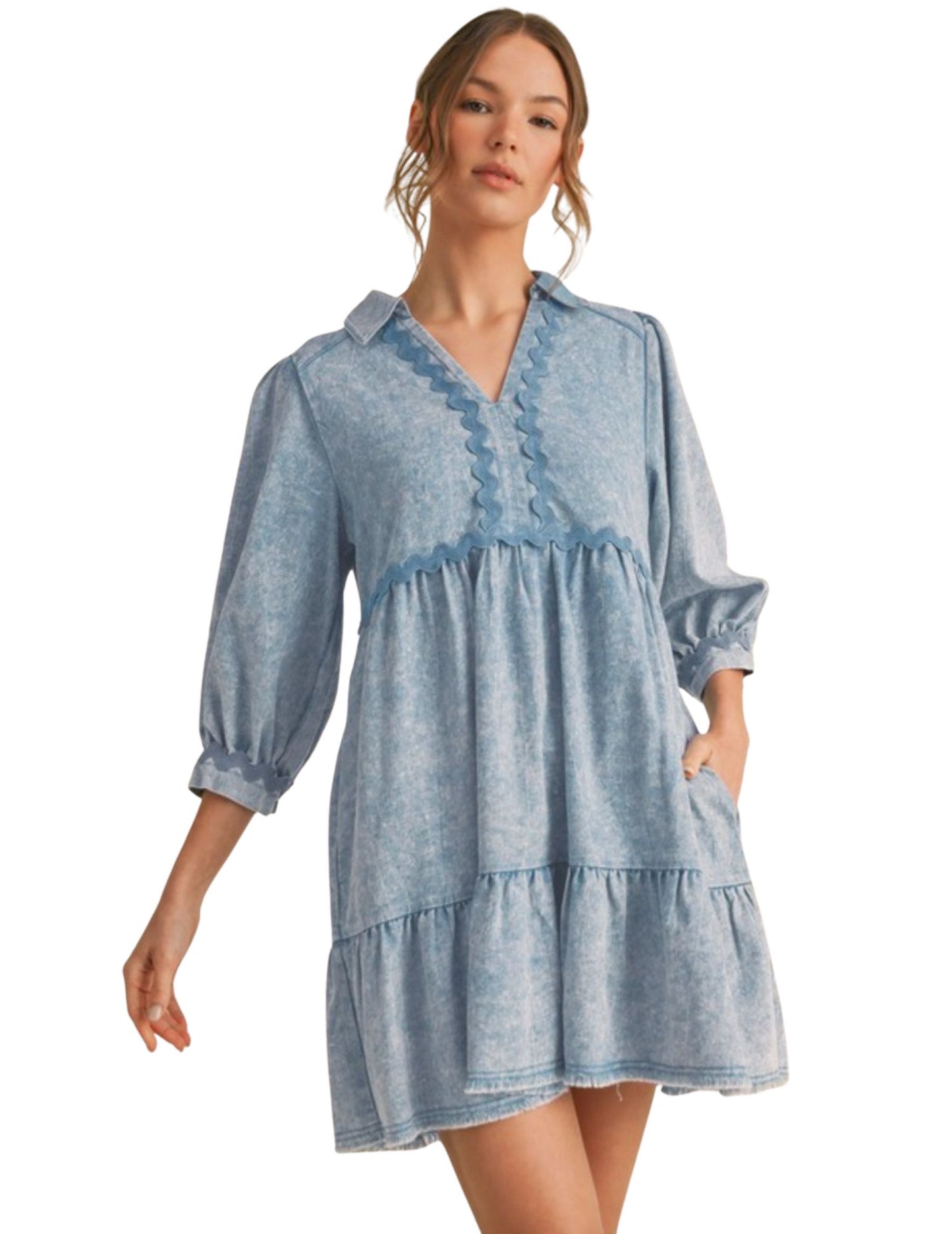 Denise Denim Mini Dress