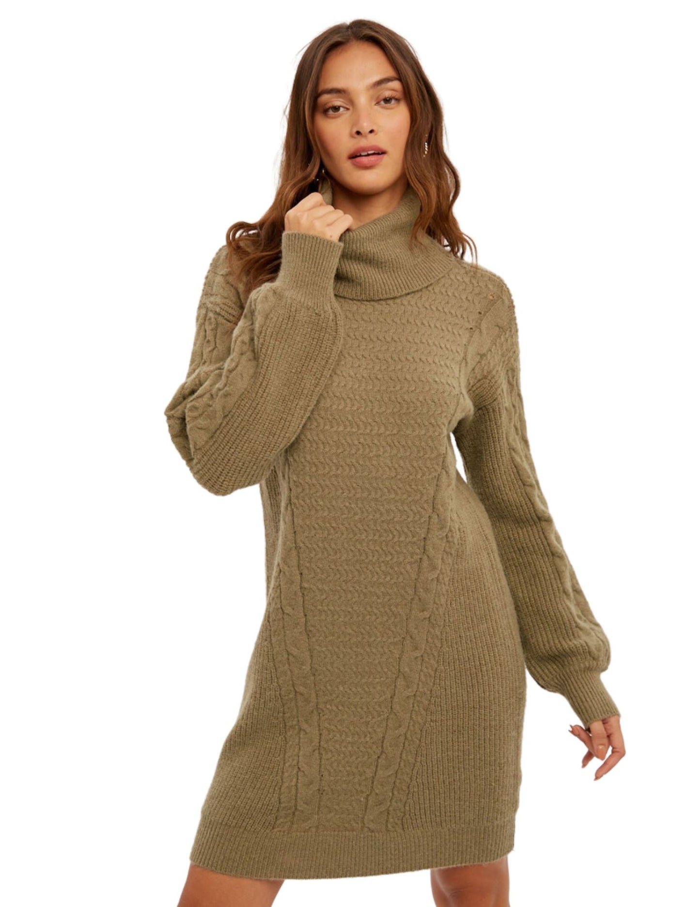 Tatiana Turtleneck Sweater Dress