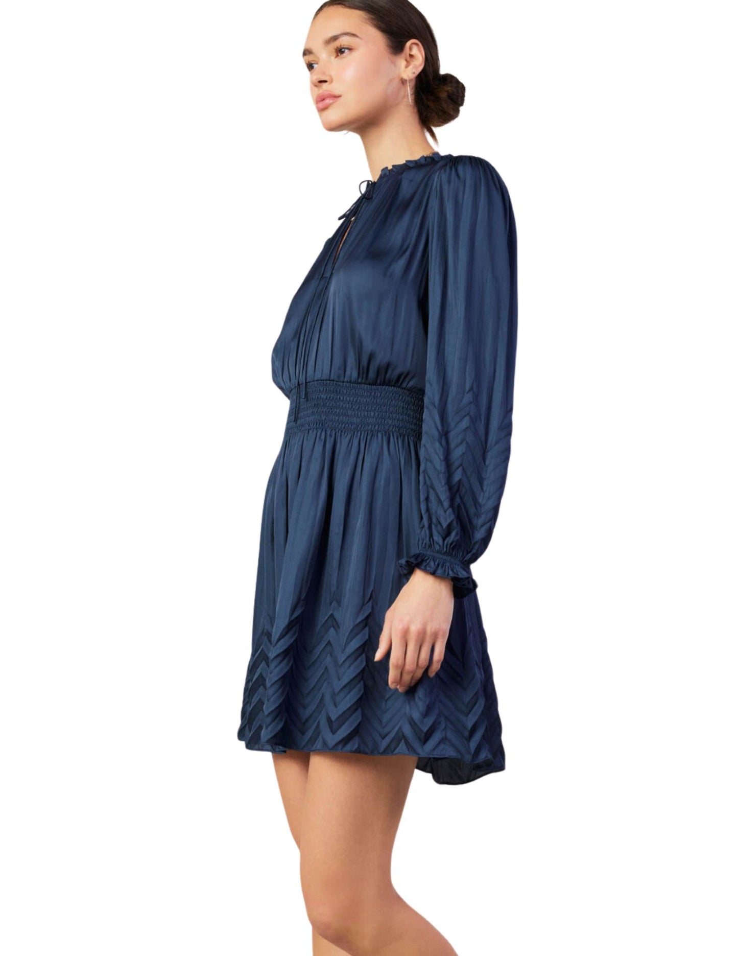 Fancy Navy Mini Dress